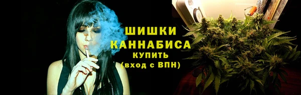 прущий лед Белокуриха