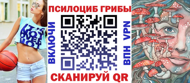 Купить закладки  Коркино  Галлюциногенные грибы Magic Shrooms 